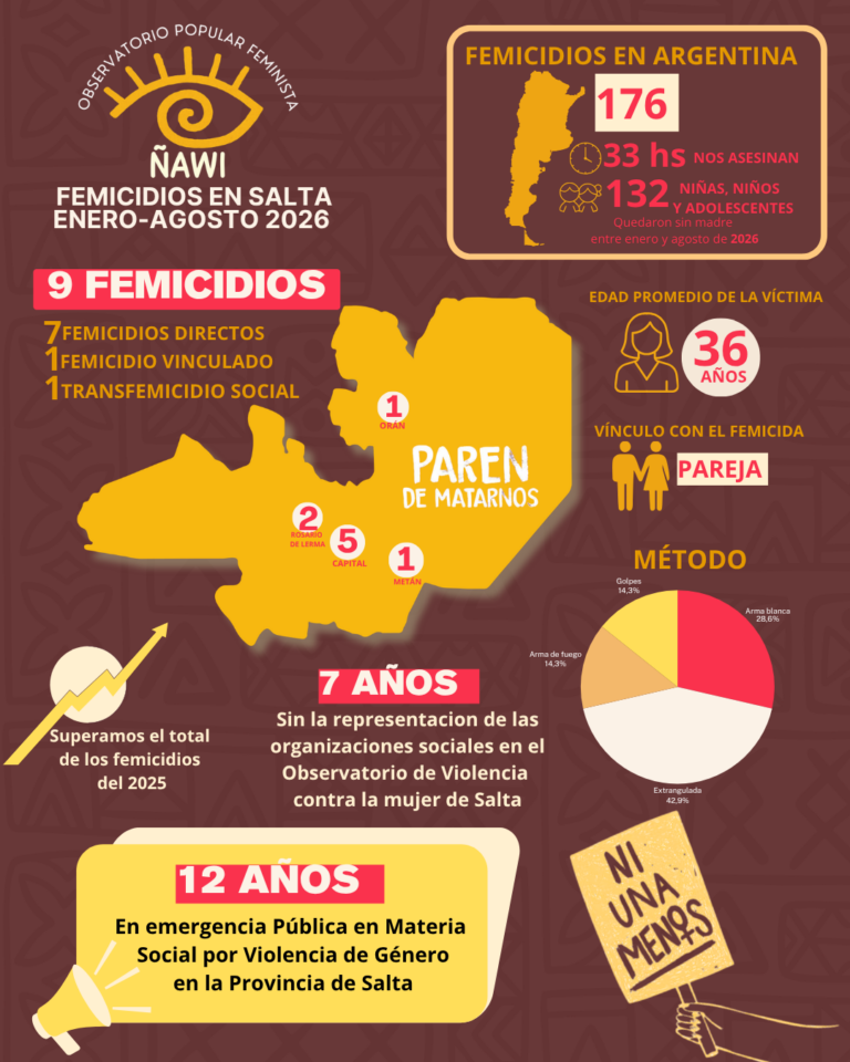 Femicidios en Salta -Enero -Agosto 2026