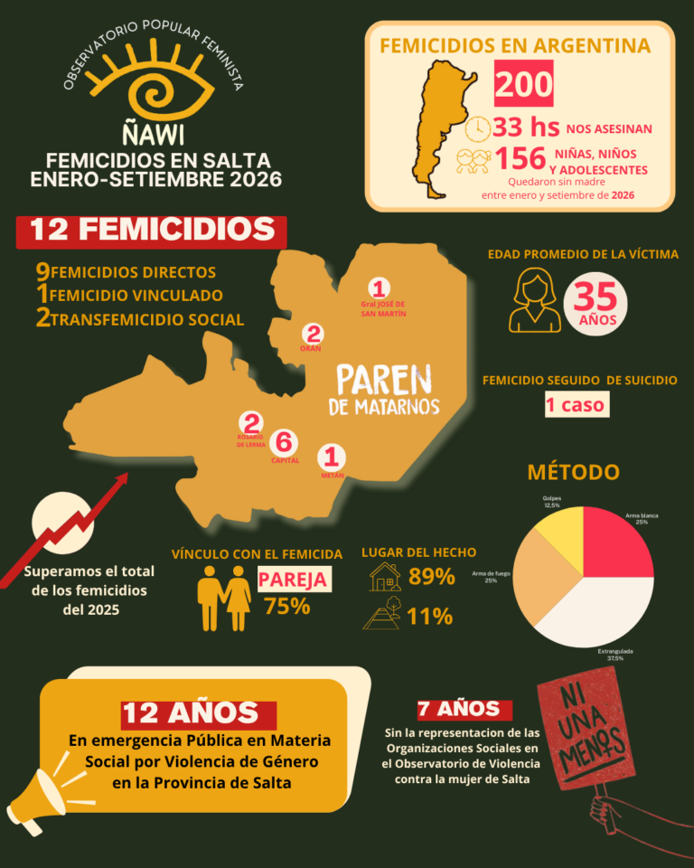 Femicidios en Salta . Enero -Setiembre 2026